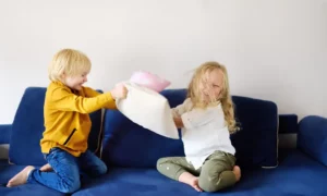 Understanding Sibling Dynamics